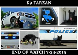 K9 Tarzan