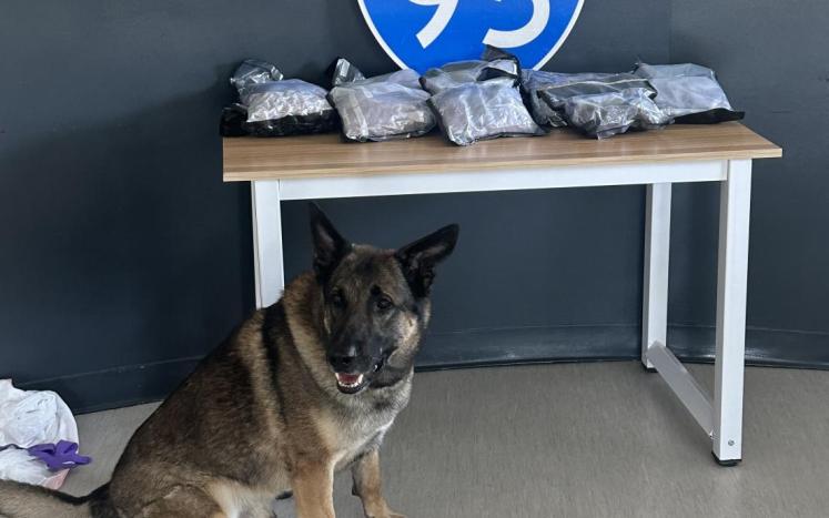 Jasper County K9 with seized narcotics
